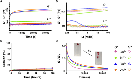 《Science Adv.》可注射光敏水凝胶,金属组装递送神经保护蛋白的图4